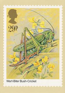 PC_PHQ-82c