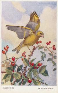 PC_WA-Birds1510