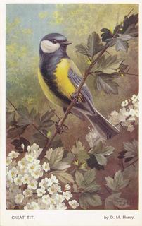 PC_WA-Birds5416