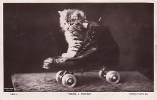 PC_Skate-Puss