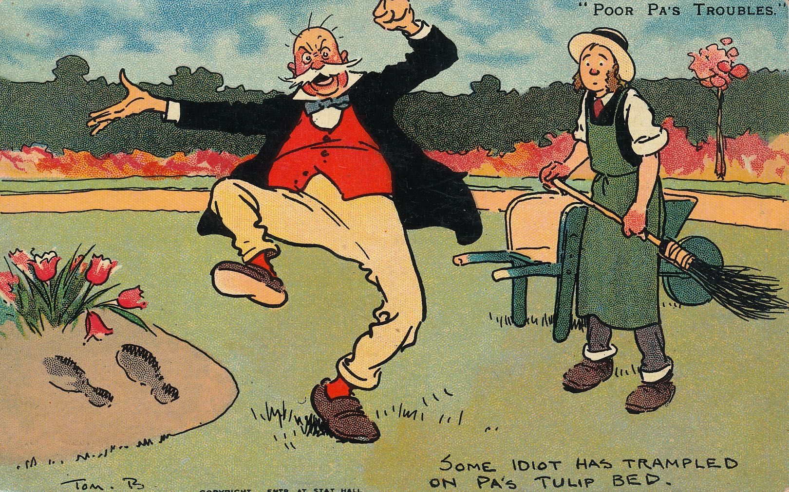 Poor Pa’s Troubles - Some idiot has trampled on Pa’s tulip bed