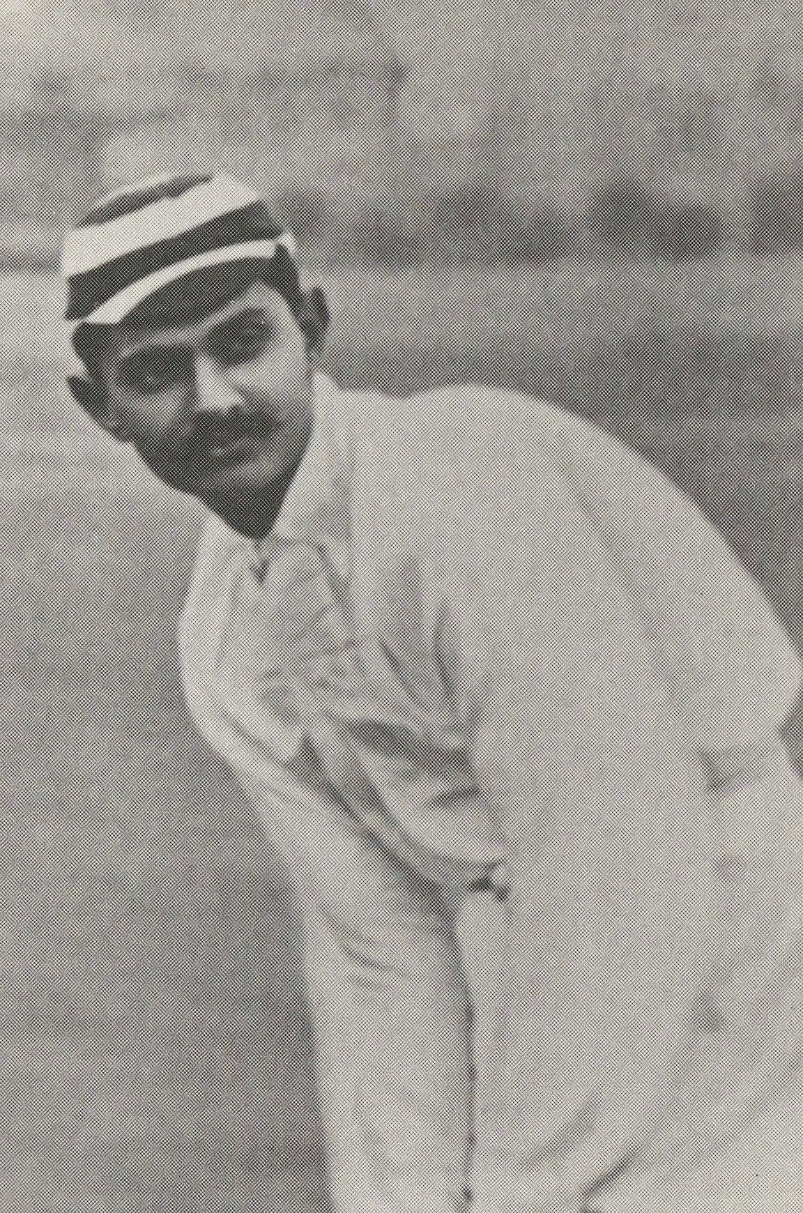 PC_Cricketers13_Ranjitsinghi