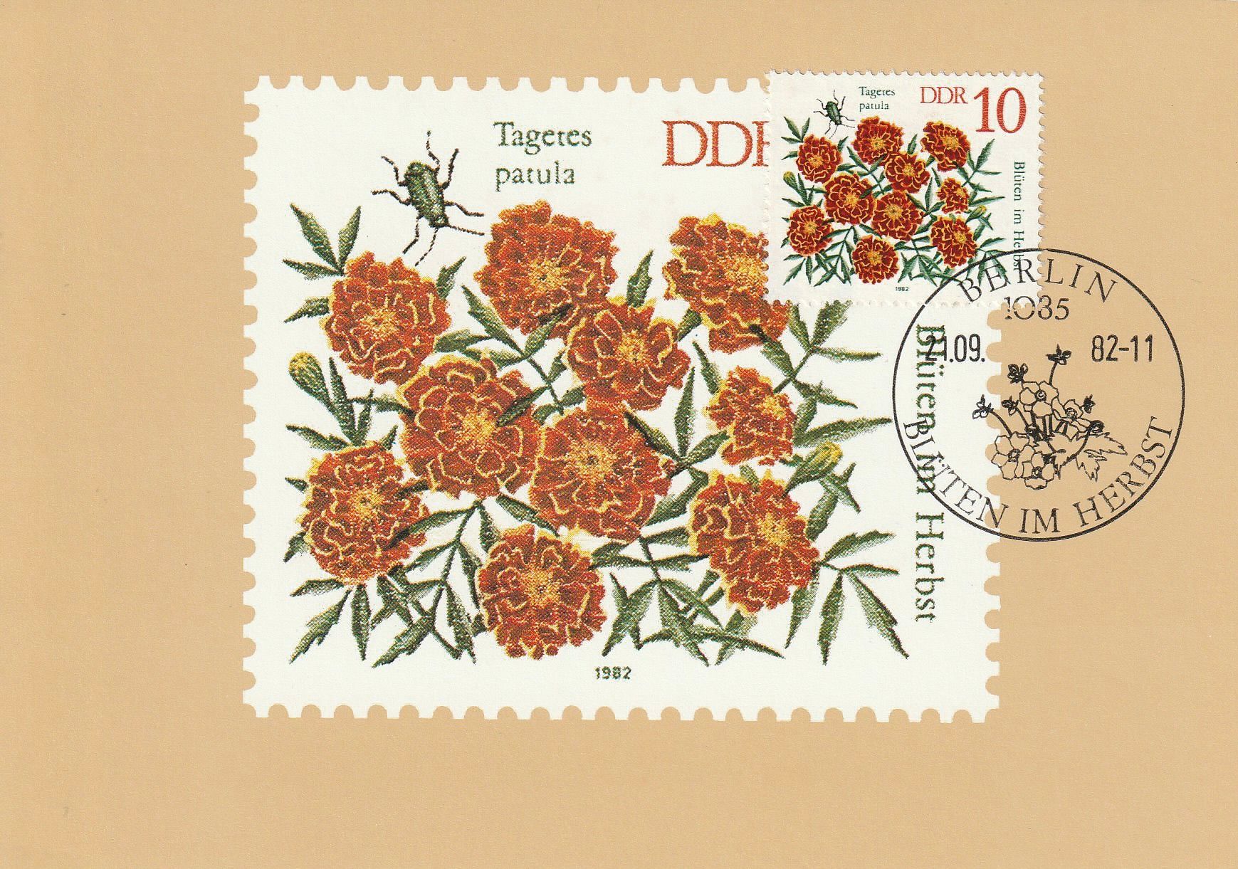 PC_DDR-Herbstblüten02