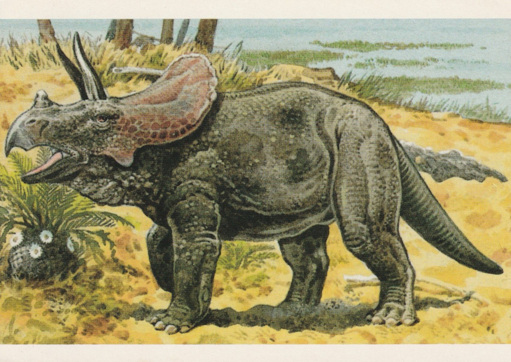 PC_Dinosaur-Magna11