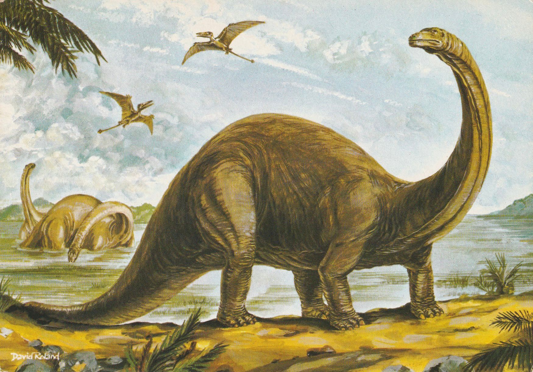 PC_Dinosaur-NovusPPH22175