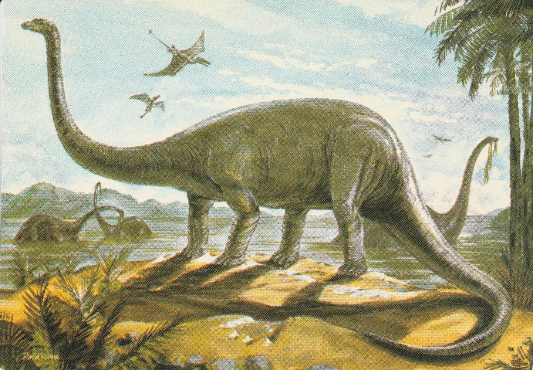 PC_Dinosaur-NovusPPH22176