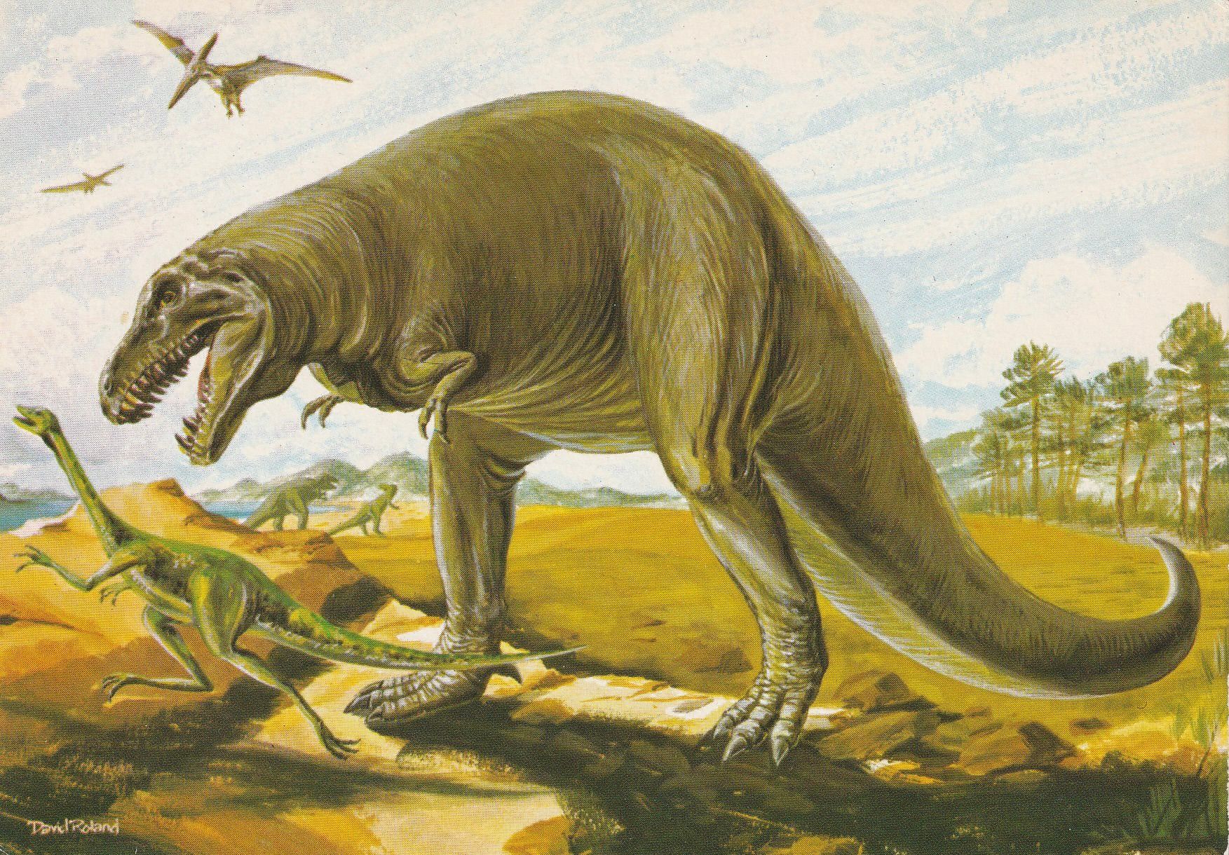 PC_Dinosaur-NovusPPH22179