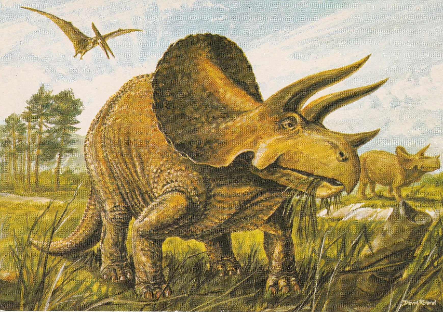 PC_Dinosaur-NovusPPH22180