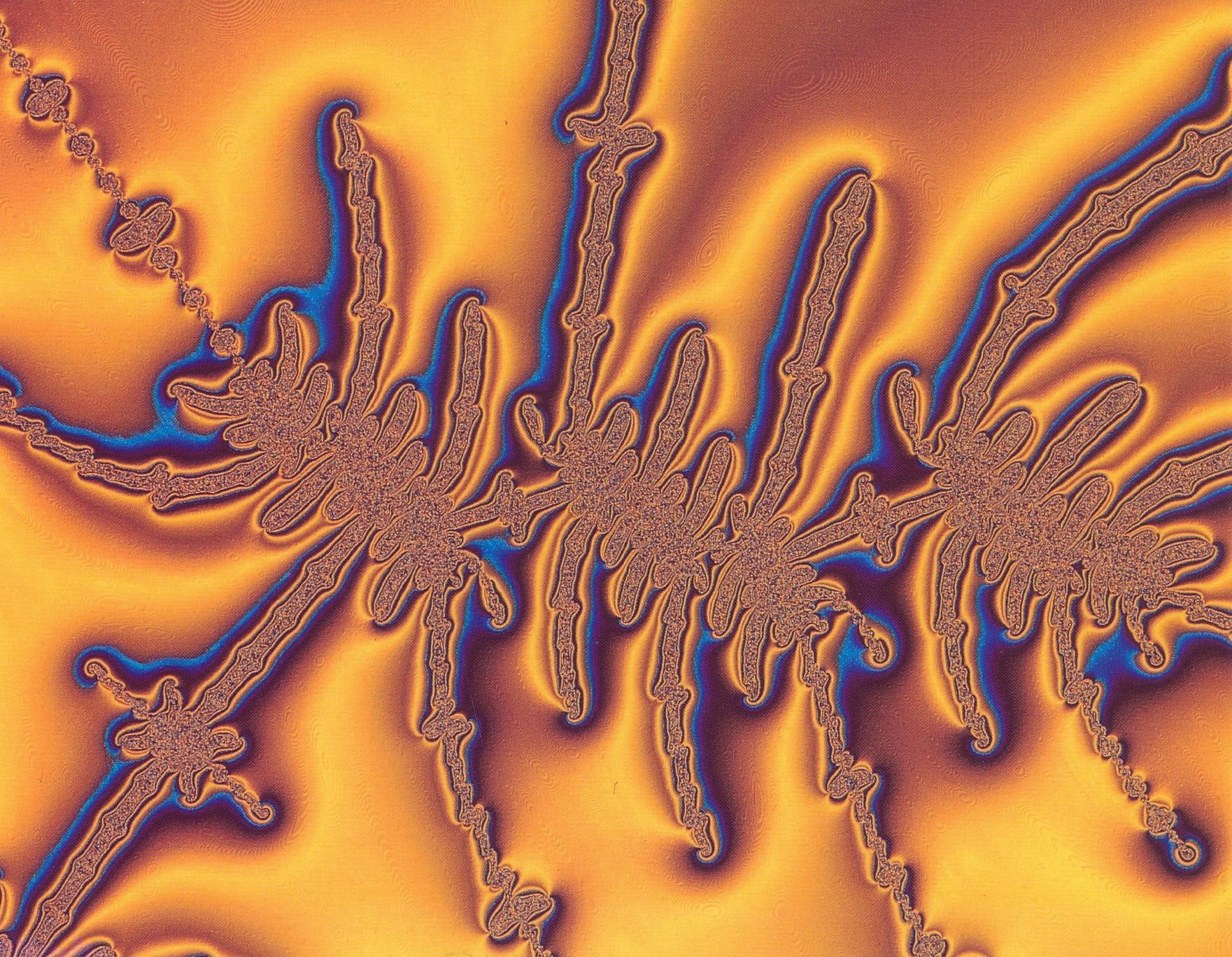 “The Satin Connection” PC_Fractal_C1105
