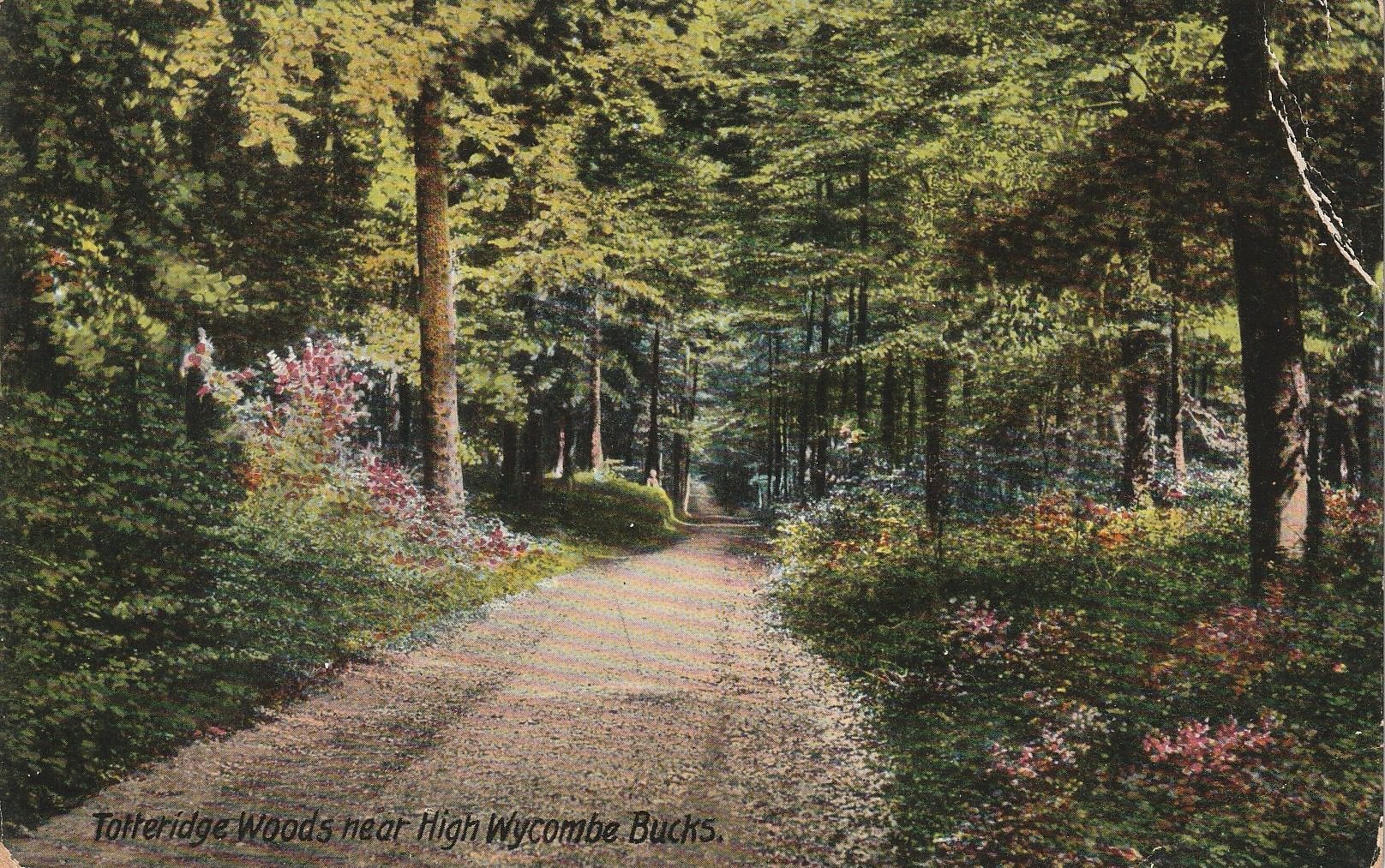 PC_HWycombe36-Totteridge Woods