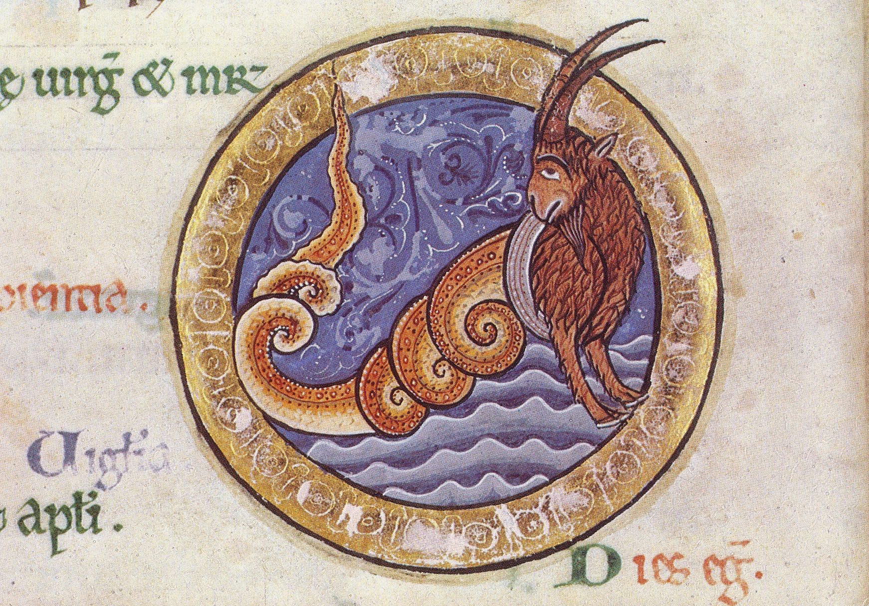 Capricorn - PC_MSHunter06