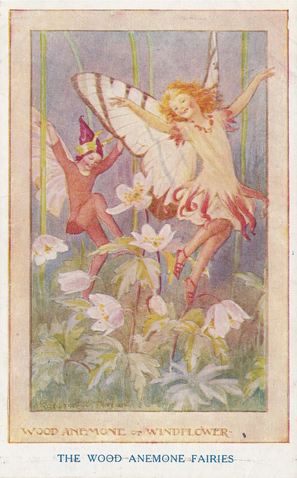 Countryside Fairies - Wood Anemone Fairies