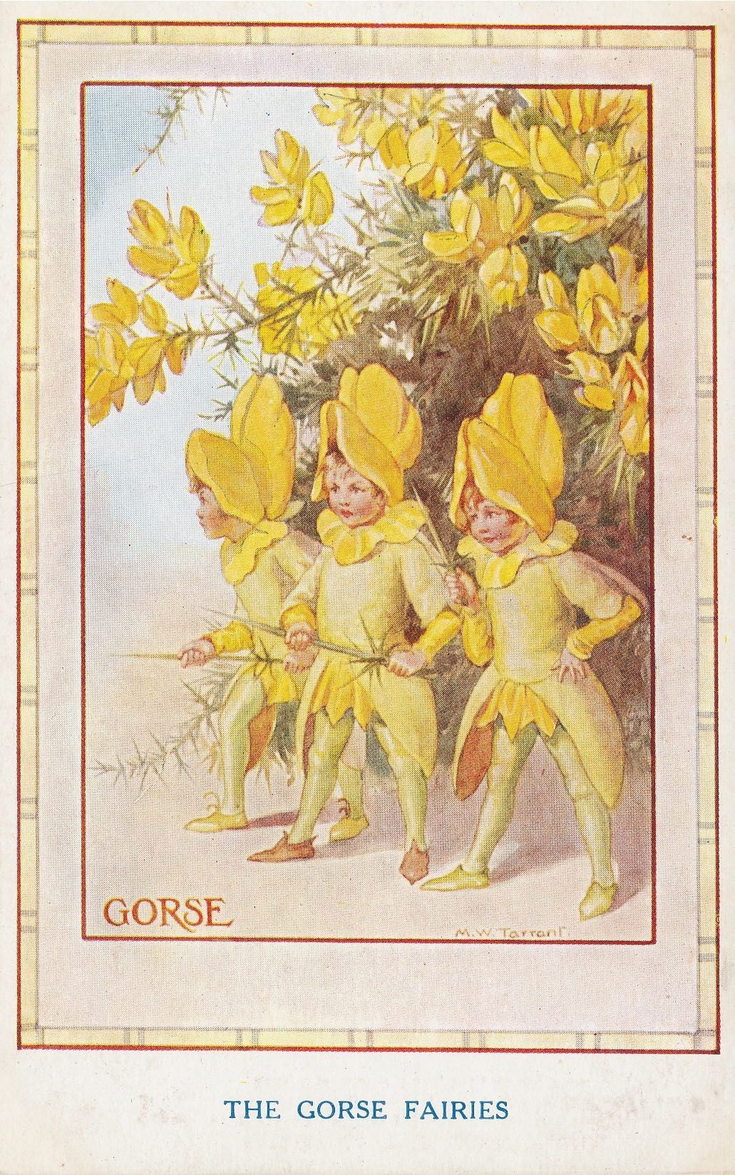 Countryside Fairies - Gorse Fairies
