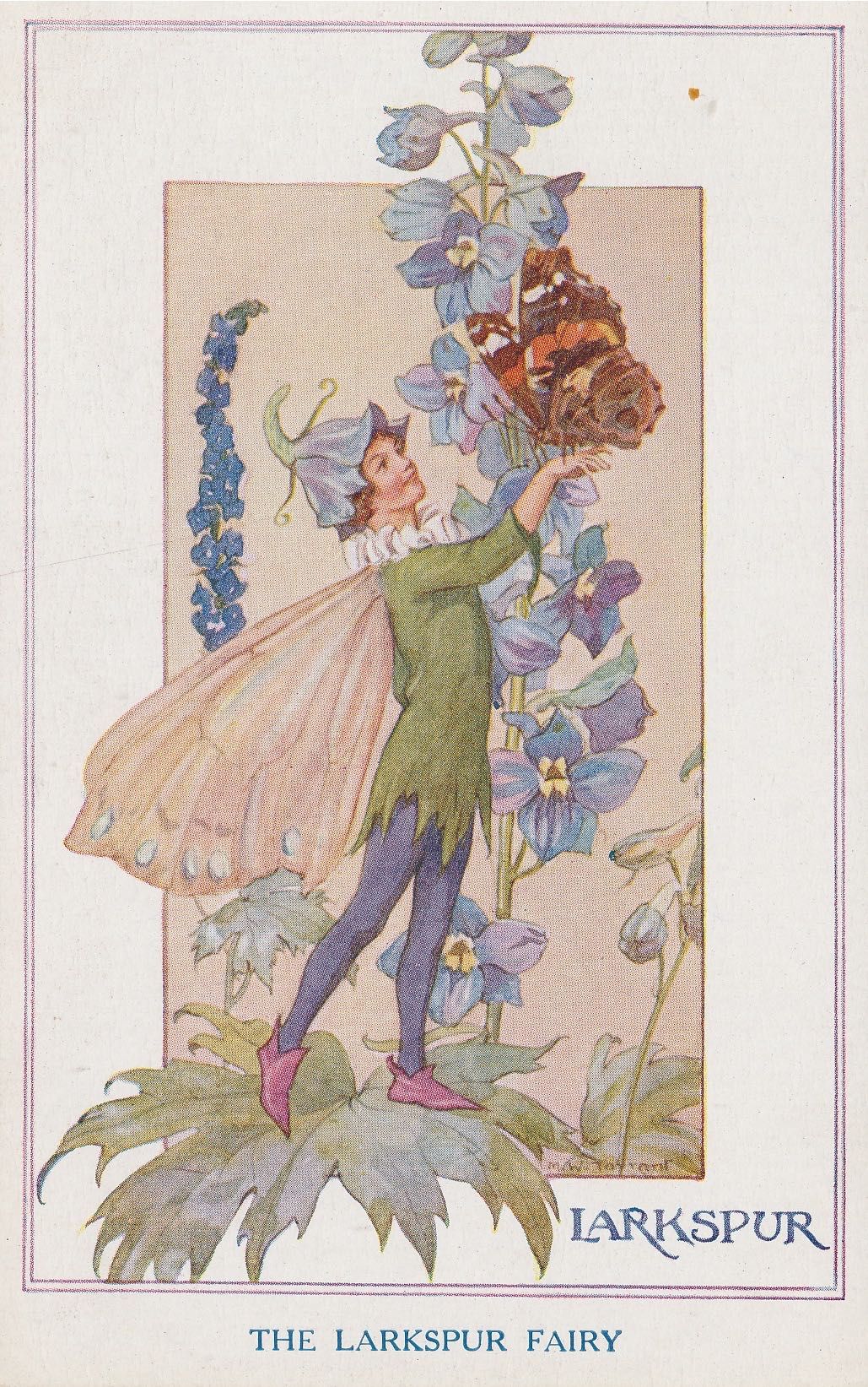 Garden Fairies - Larkspur