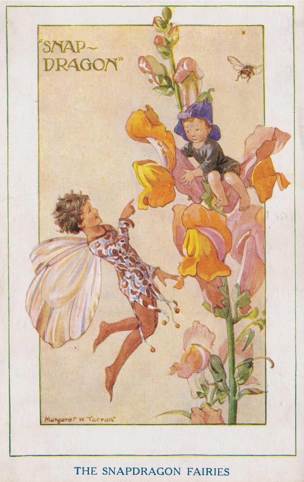 Garden Fairies - Snapdragon