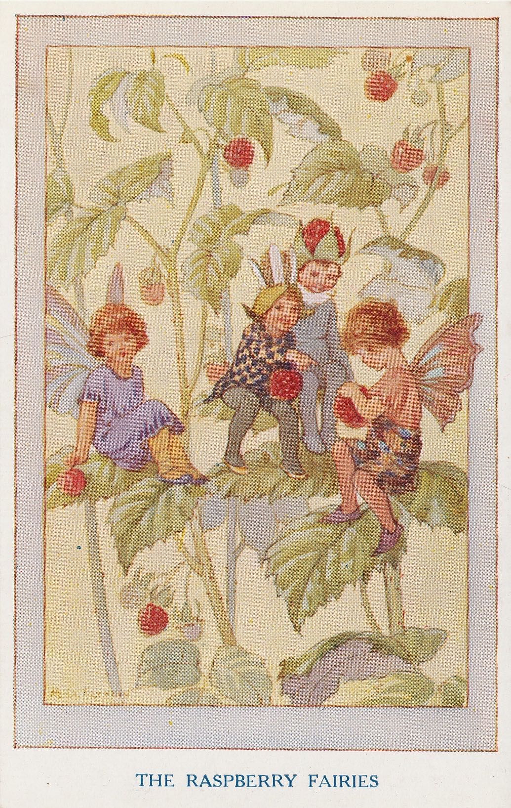 Garden Fairies - Raspberry
