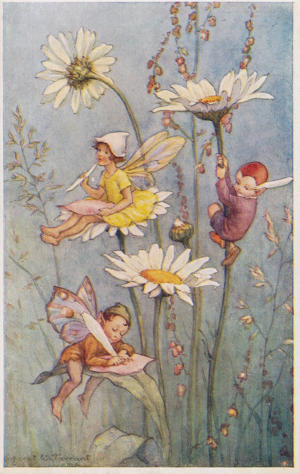 Pixie Time