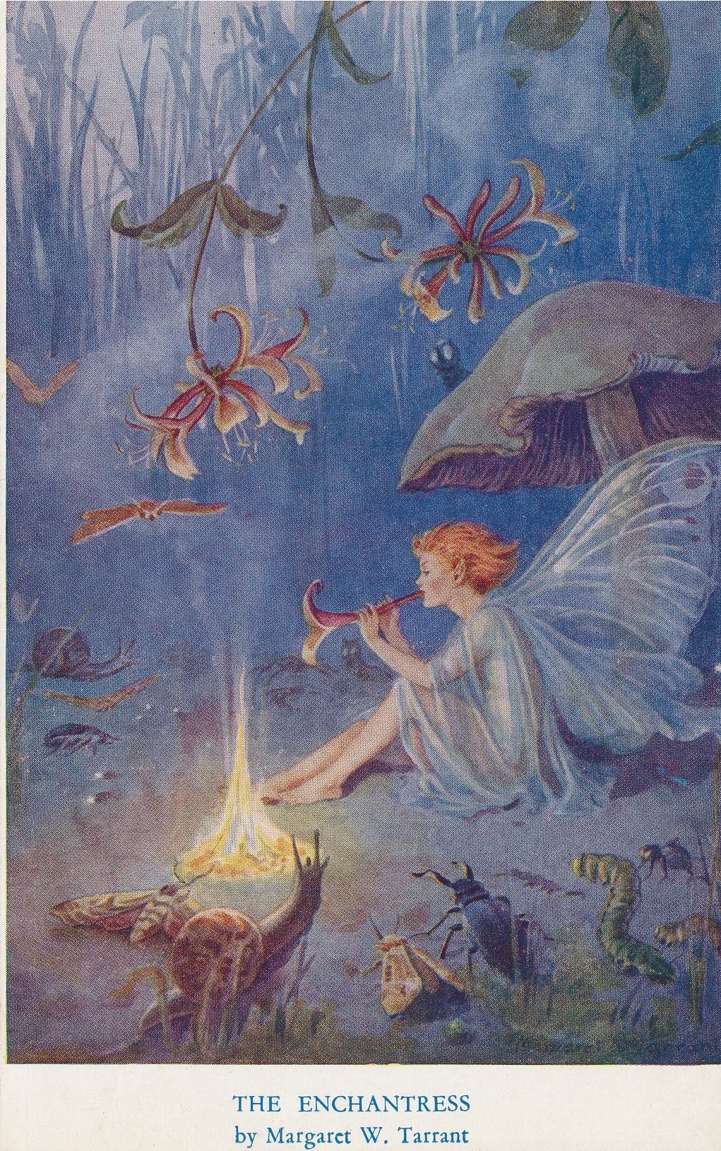 The Enchantress