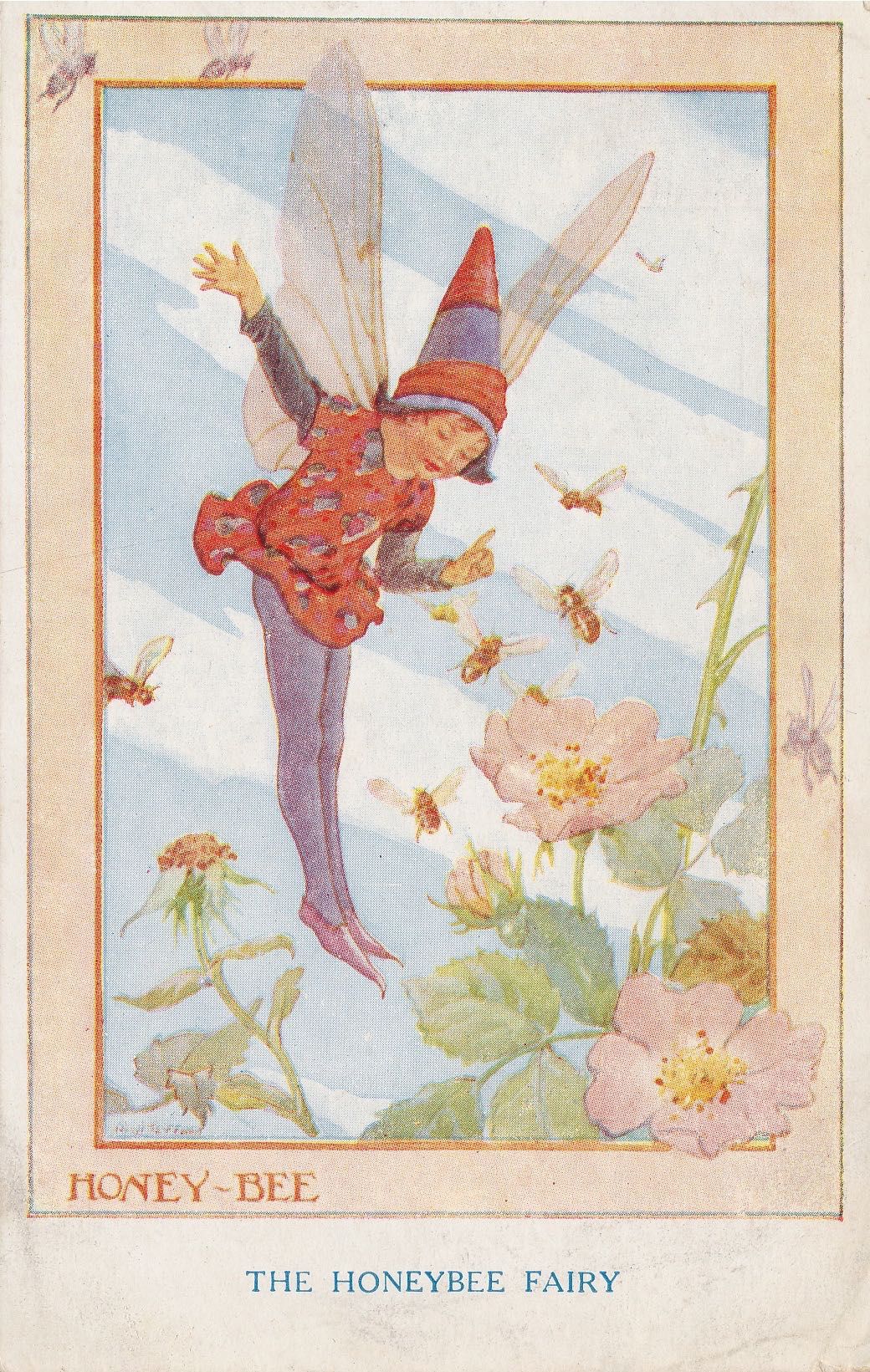 Countryside Fairies - Honey Bee