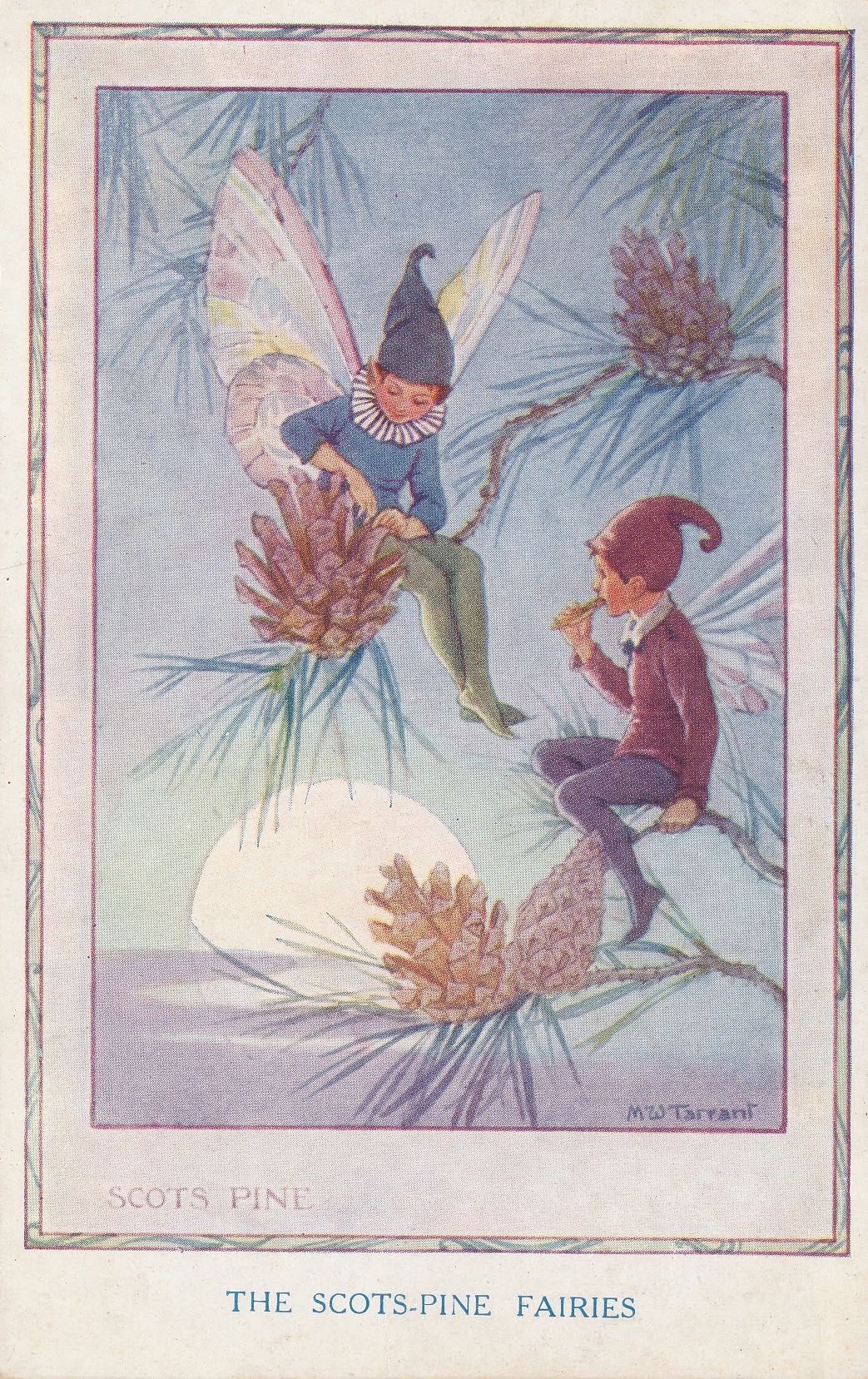 The Scots Pine Fairies