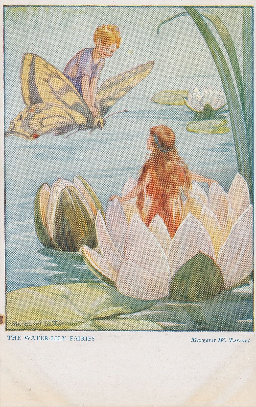 Coutryside Fairies - Water-Lily Fairies