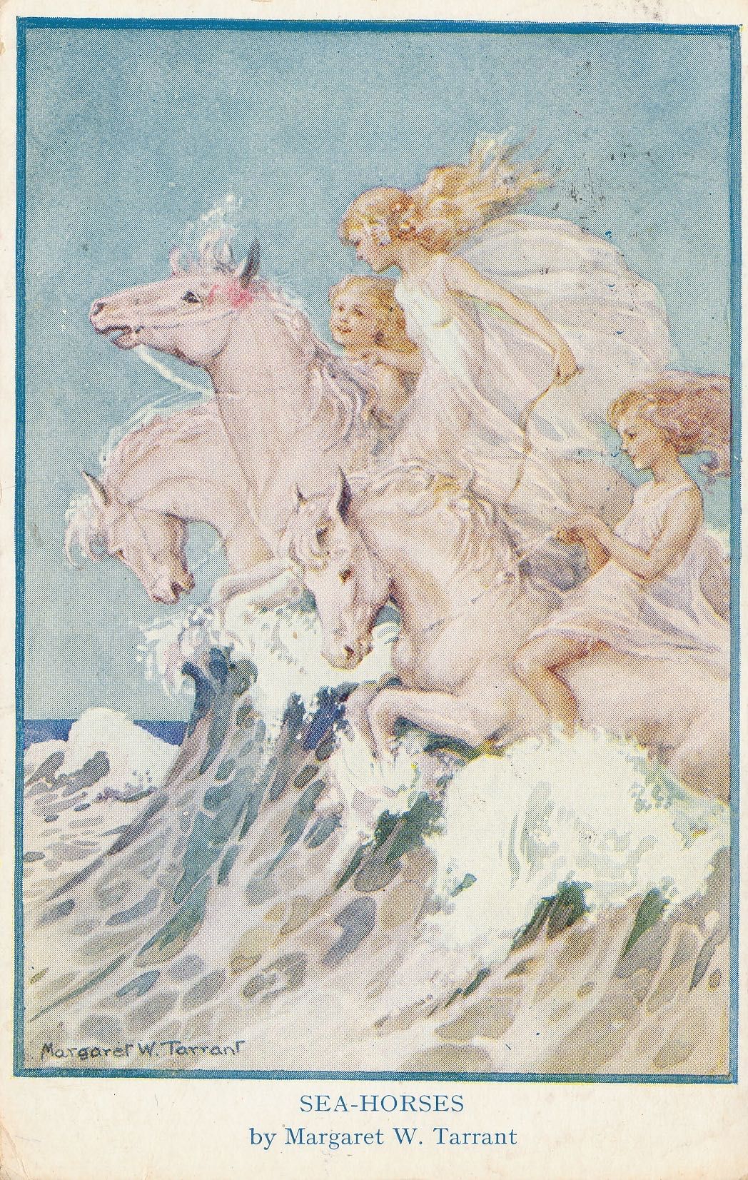Sea Horses
