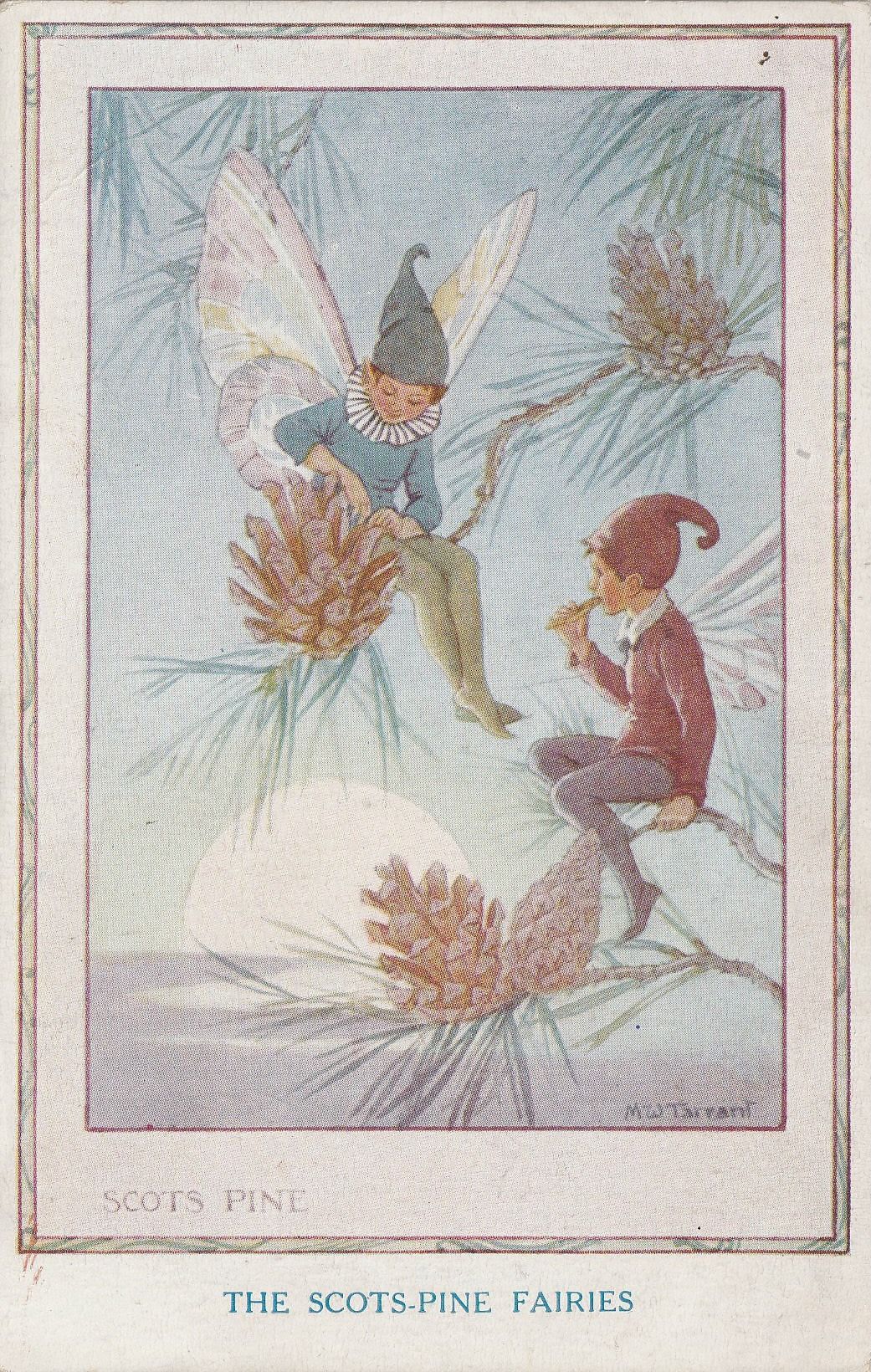 Countryside Fairies = Scots-Pime Fairies