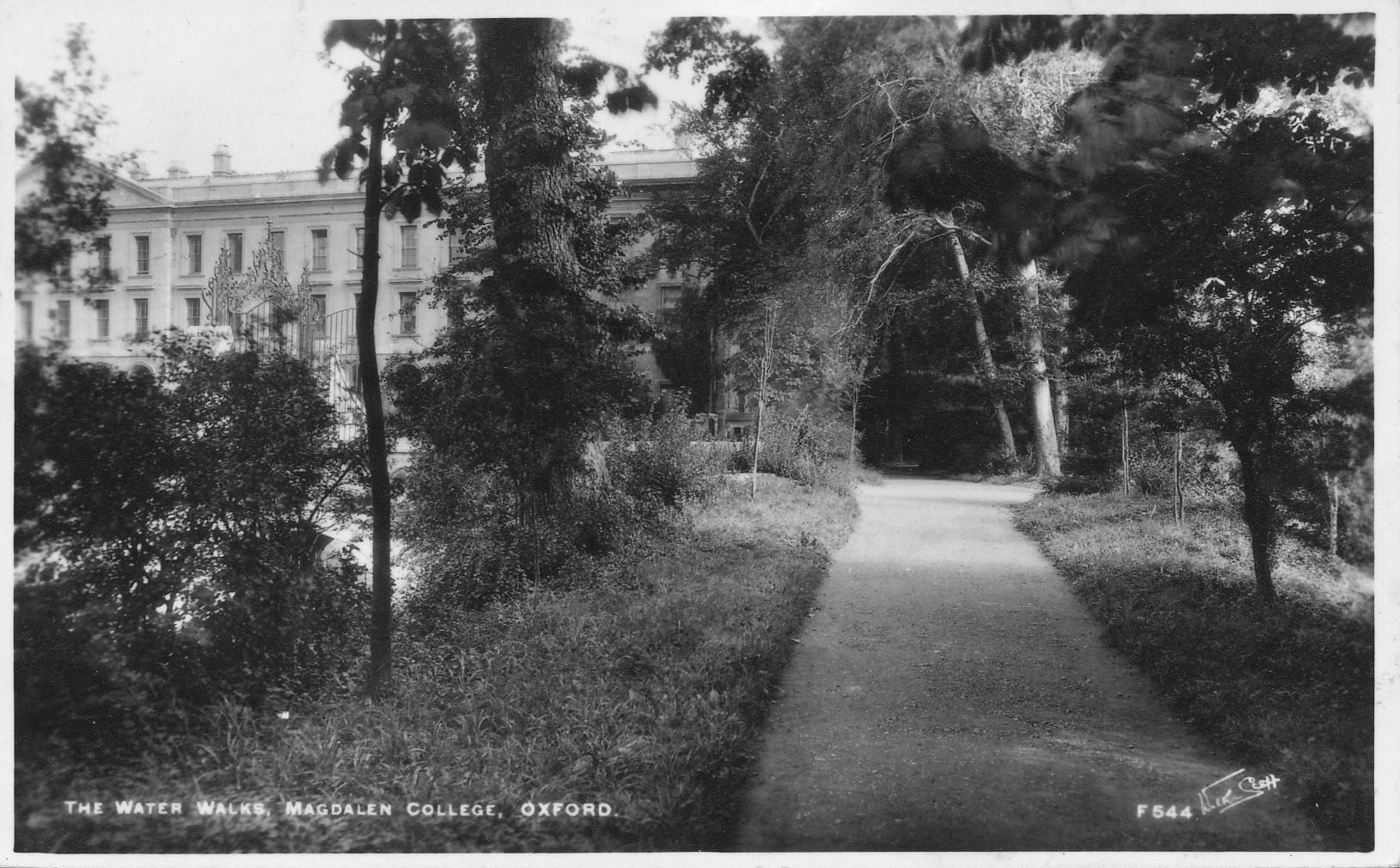 Addison’s Walk