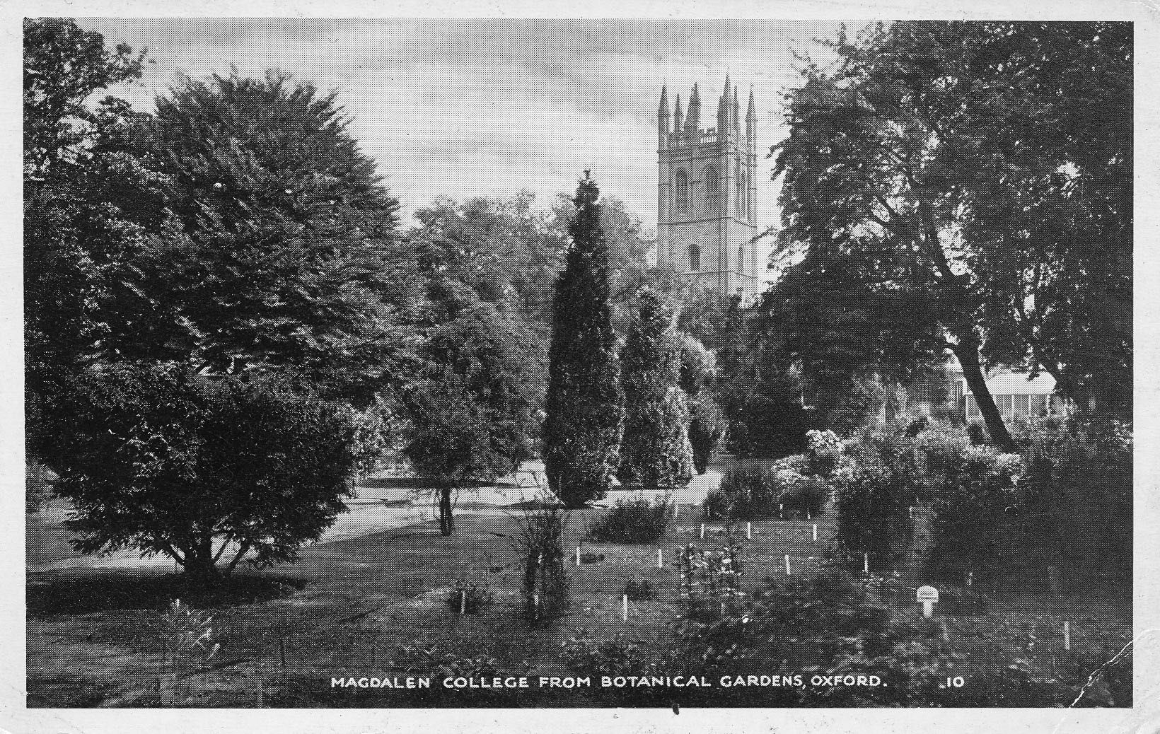 Magdalen College from Botanical Gardens