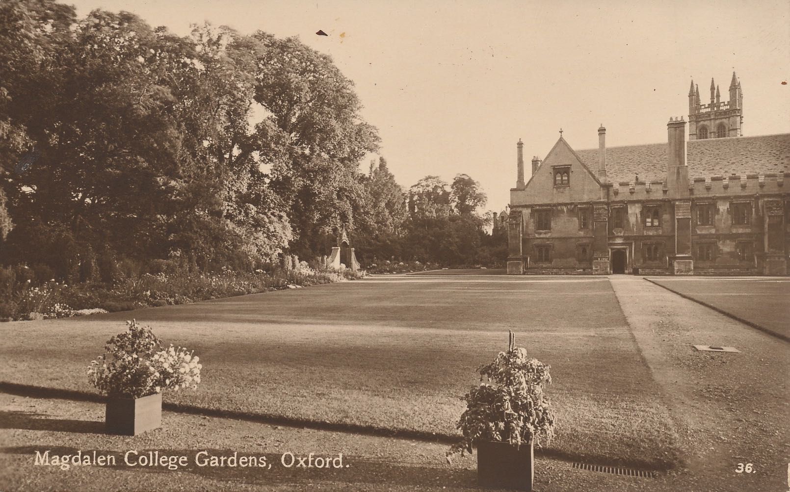 Magdalen College Gardens (from New Building)