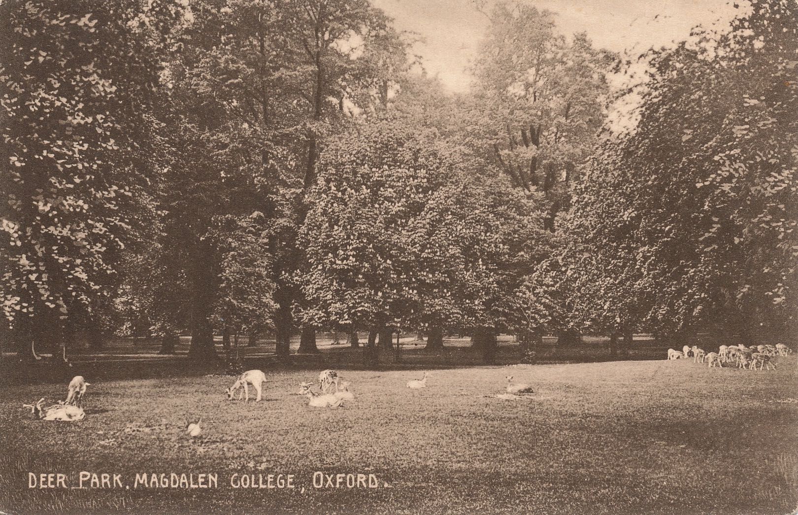 Magdalen College Deer Park
