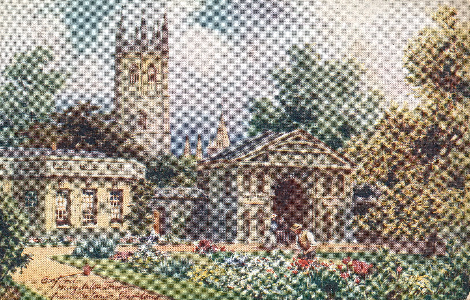 Magdalen College from Botanical Gardens