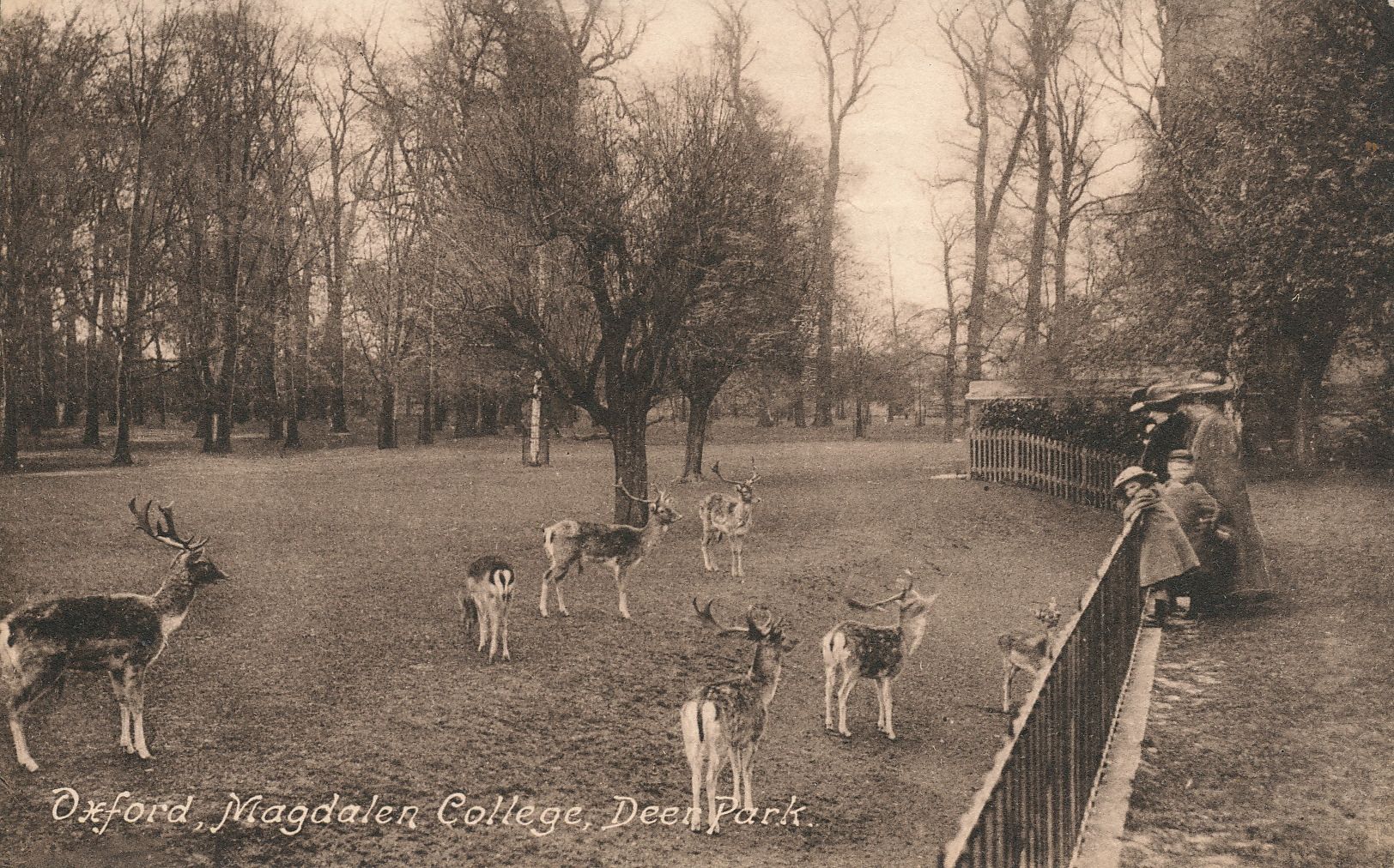 Magdalen College Deer Park