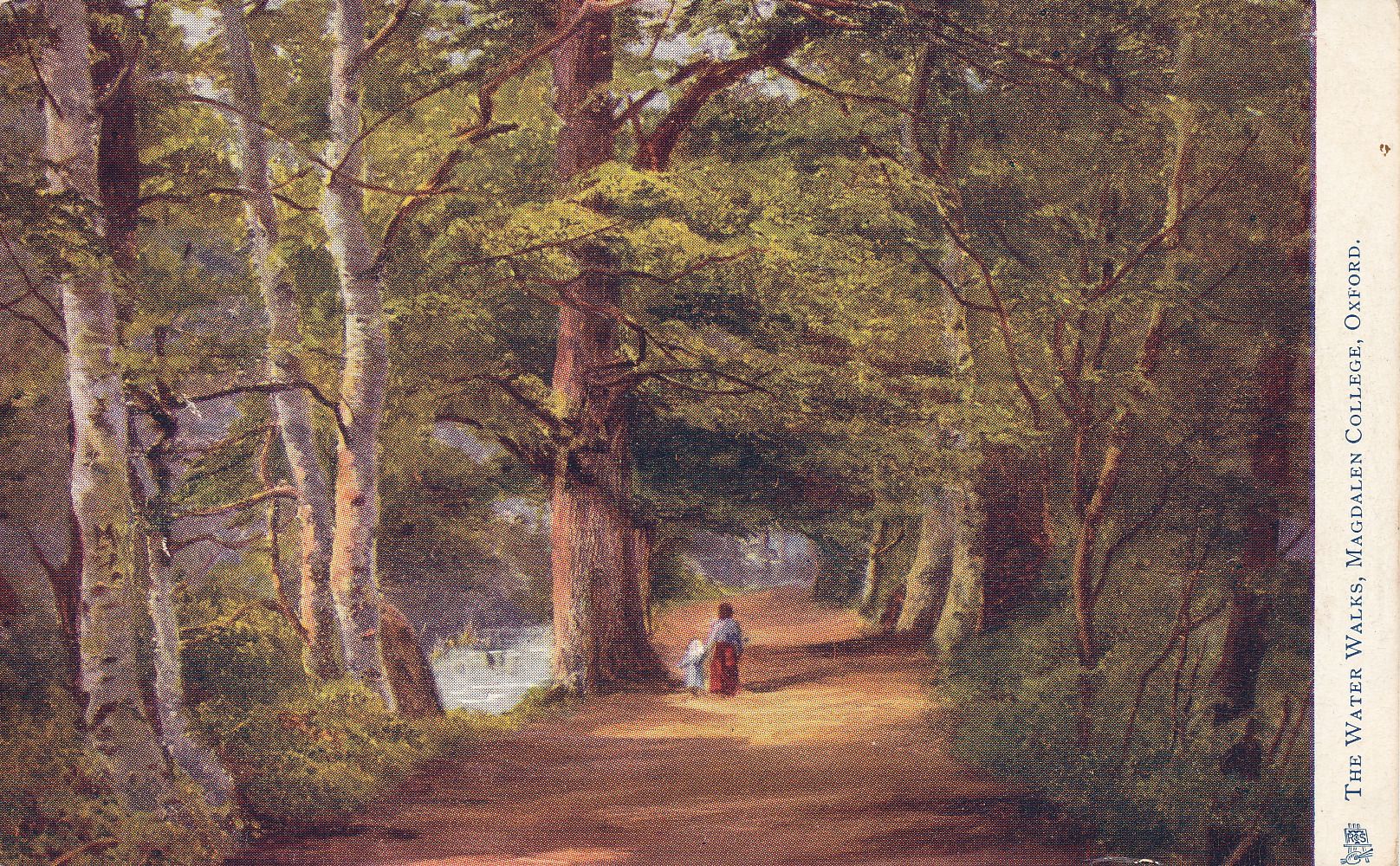 The Water Walks (Addison’s Walk), Magdalen College