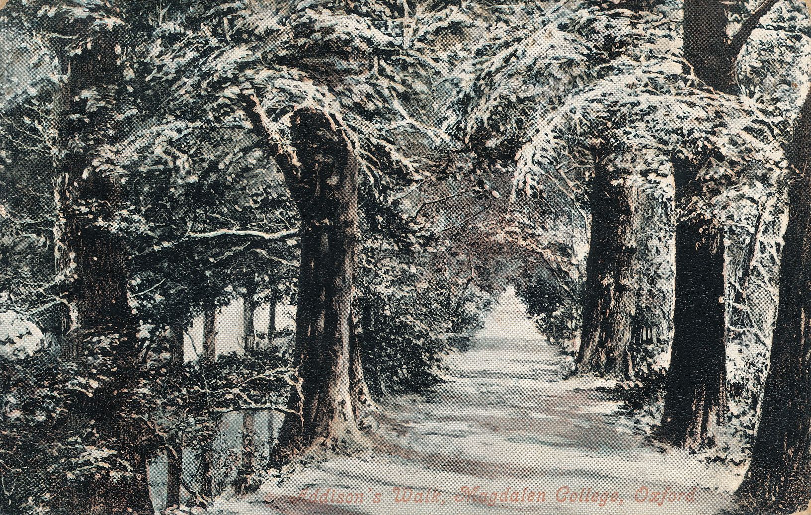 Addison’s Walk in winter