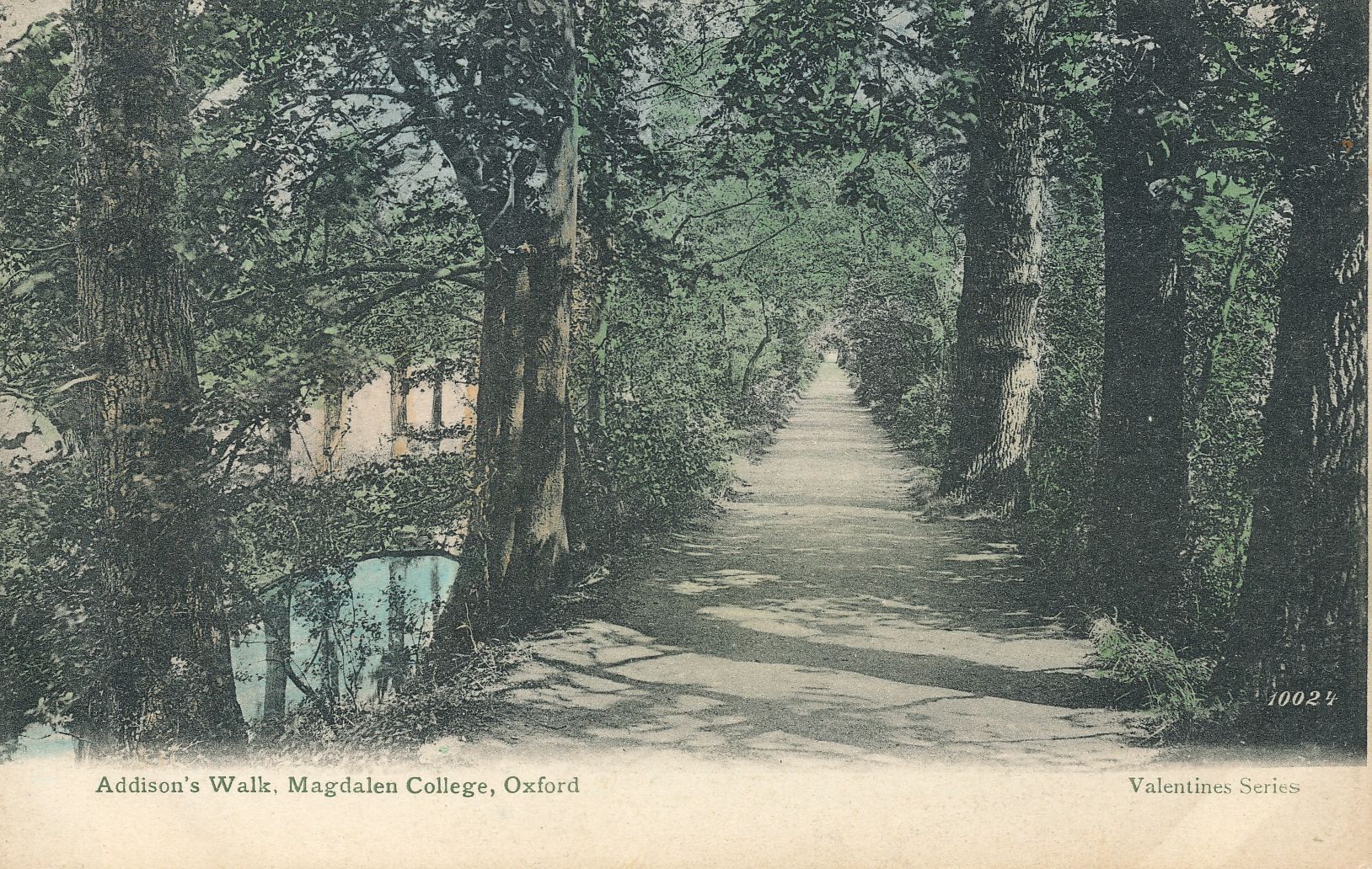 Addison’s Walk