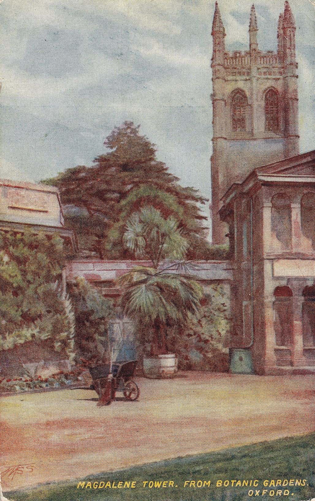 Magdalen Tower from Botanical Gardens