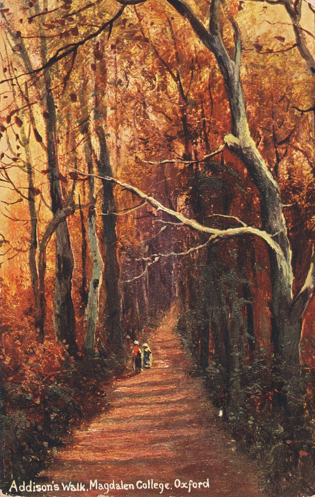 Addison’s Walk
