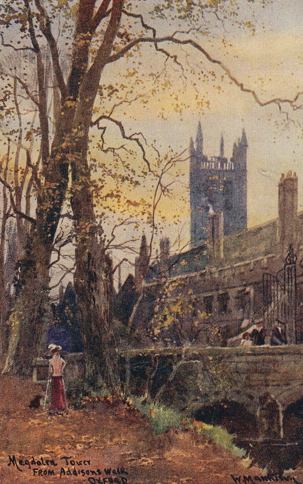 Magdalen Tower from Addison’s Walk