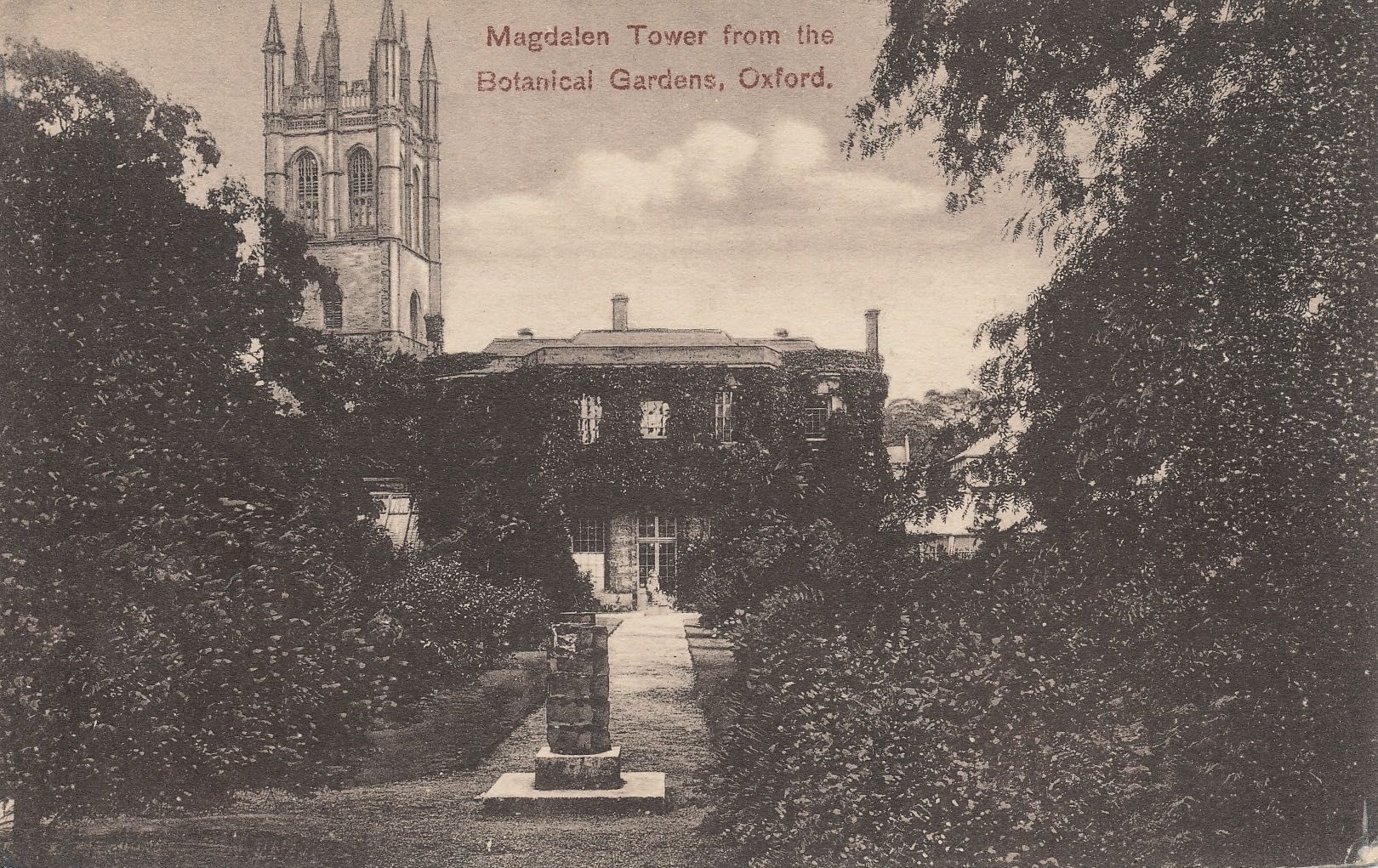 Magdalen Tower from Botanical Gardens
