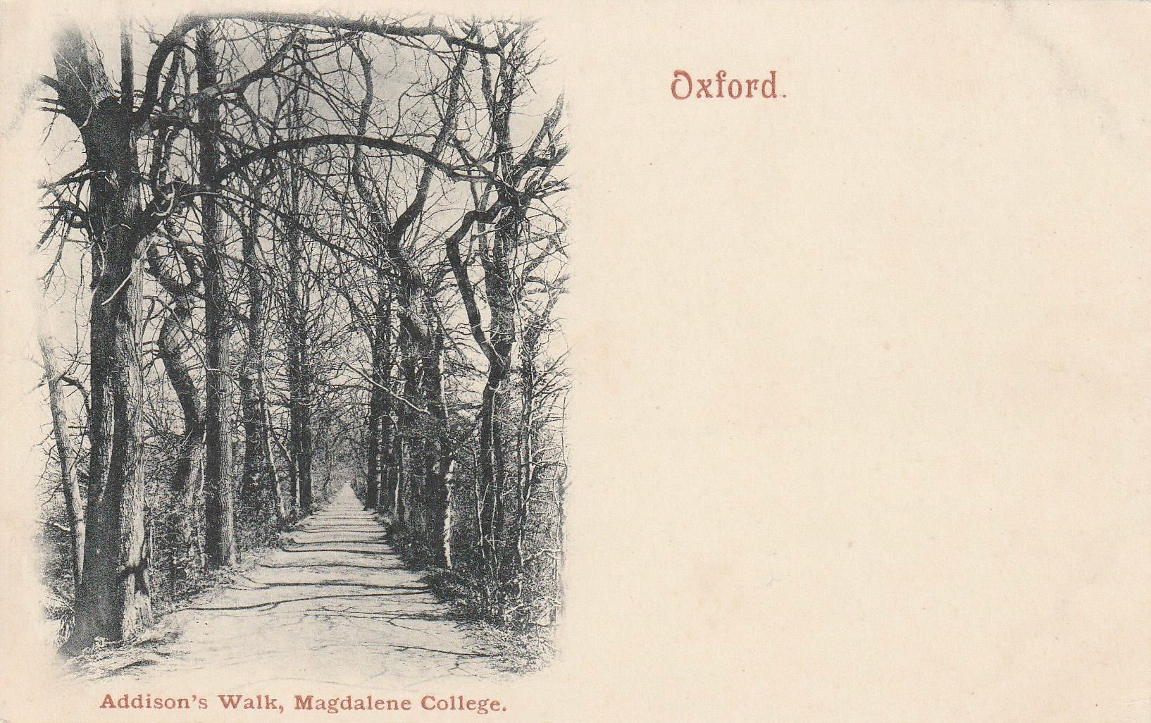 Addison’s Walk