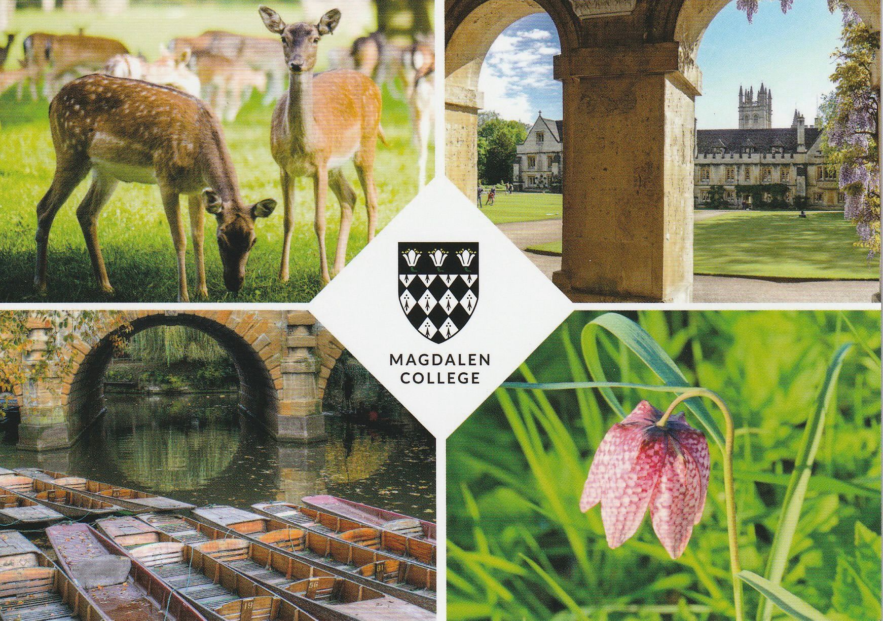 Modern multiview card of Magdalen College