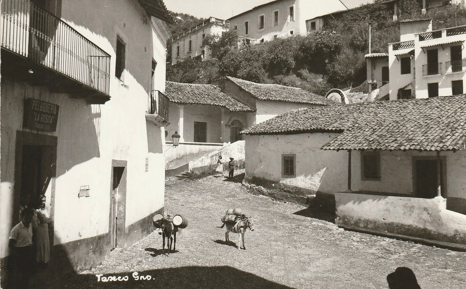 PC_Mexico05c-Taxco