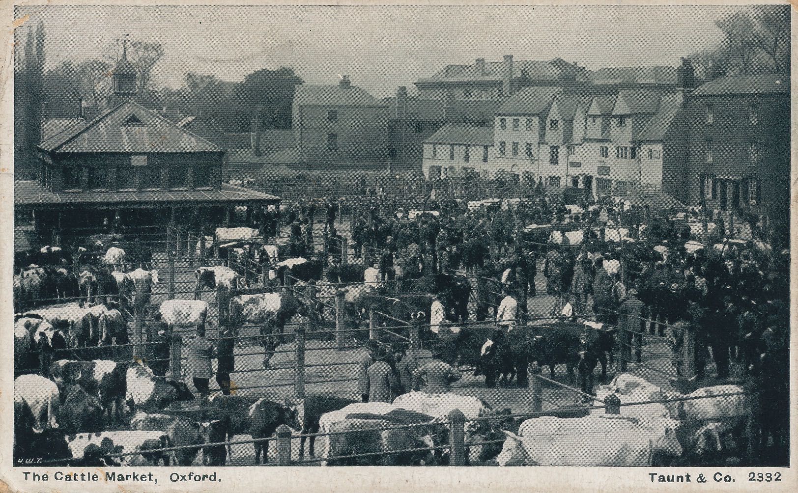 The Cattle Market, Oxford