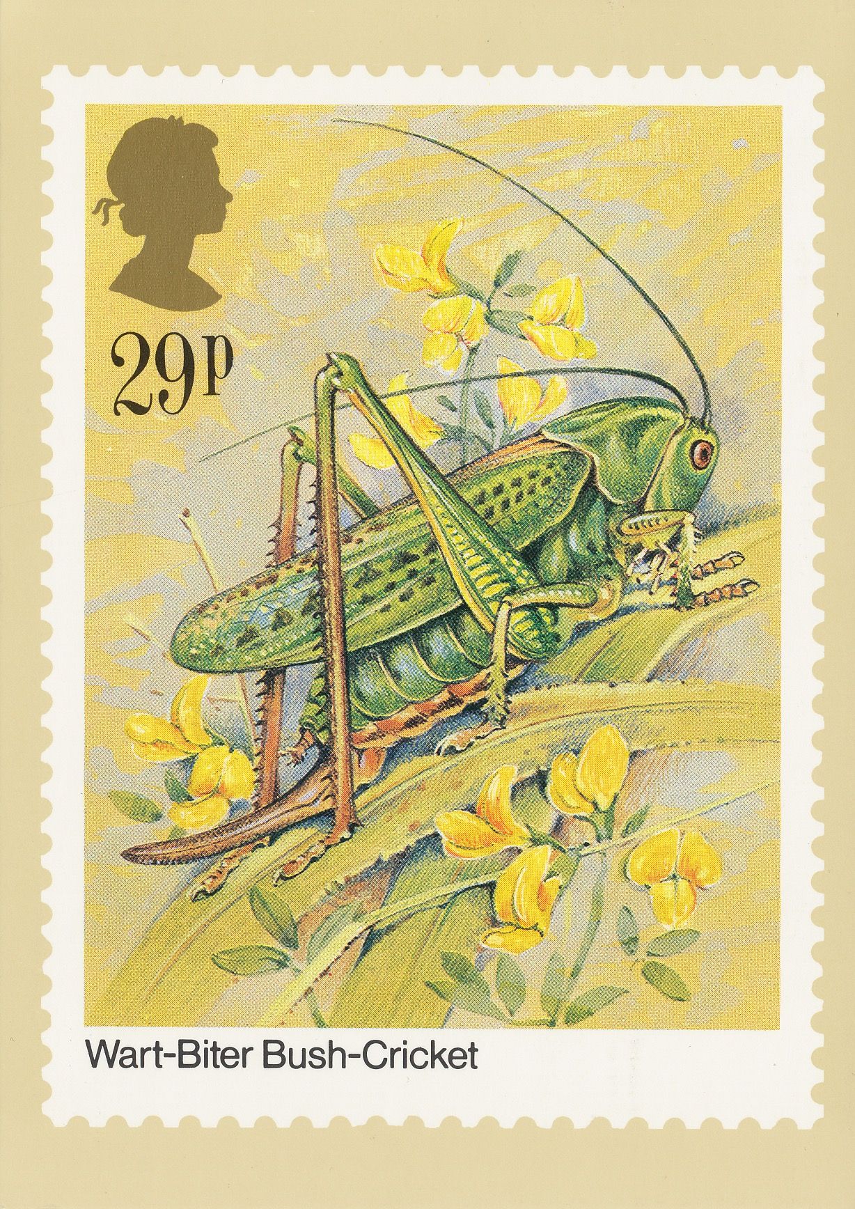 PC_PHQ-82c