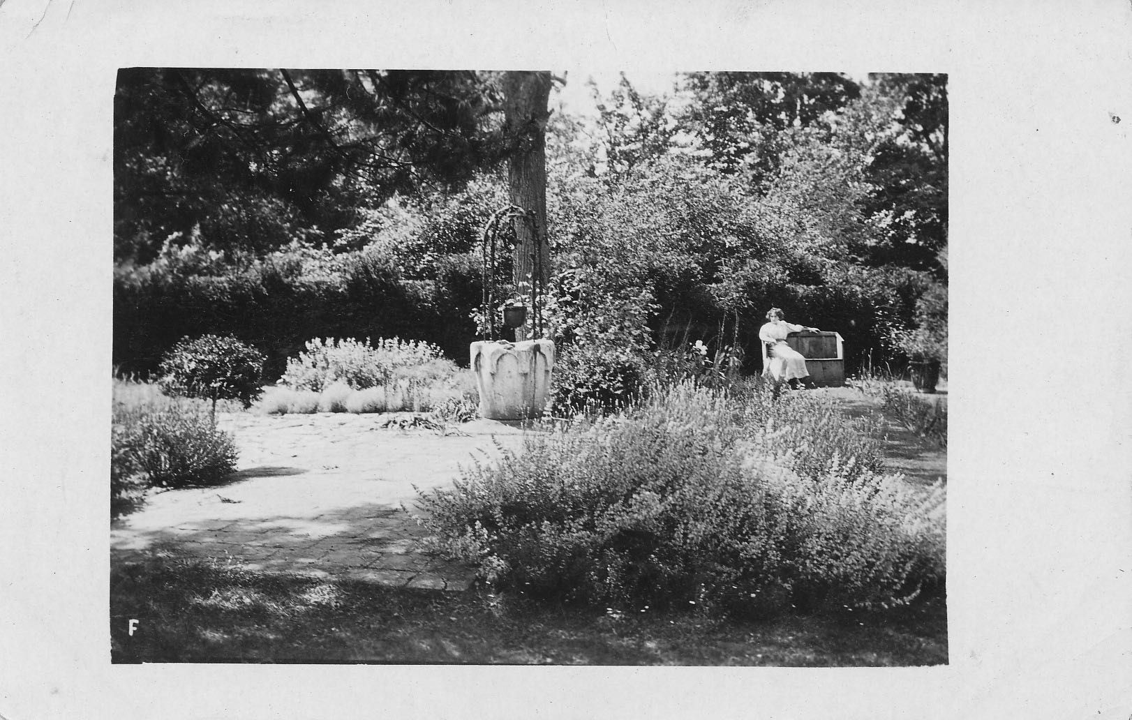 The Herb Garden at The Manor