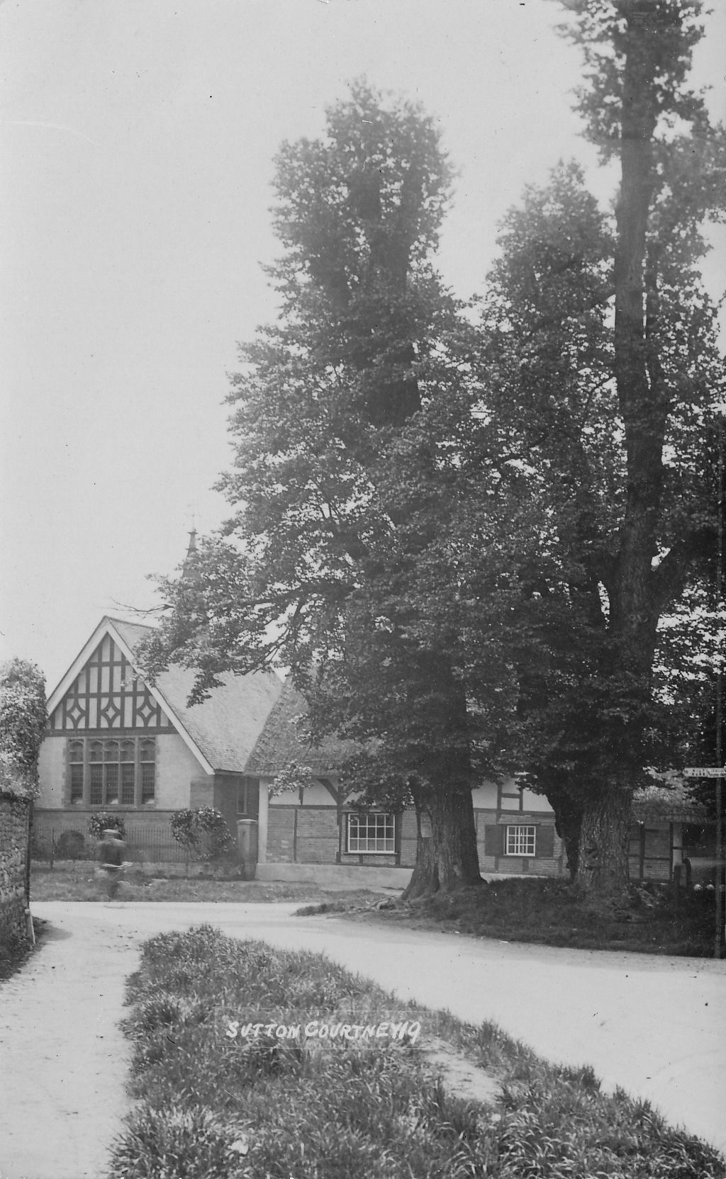 Cross Trees Triangle