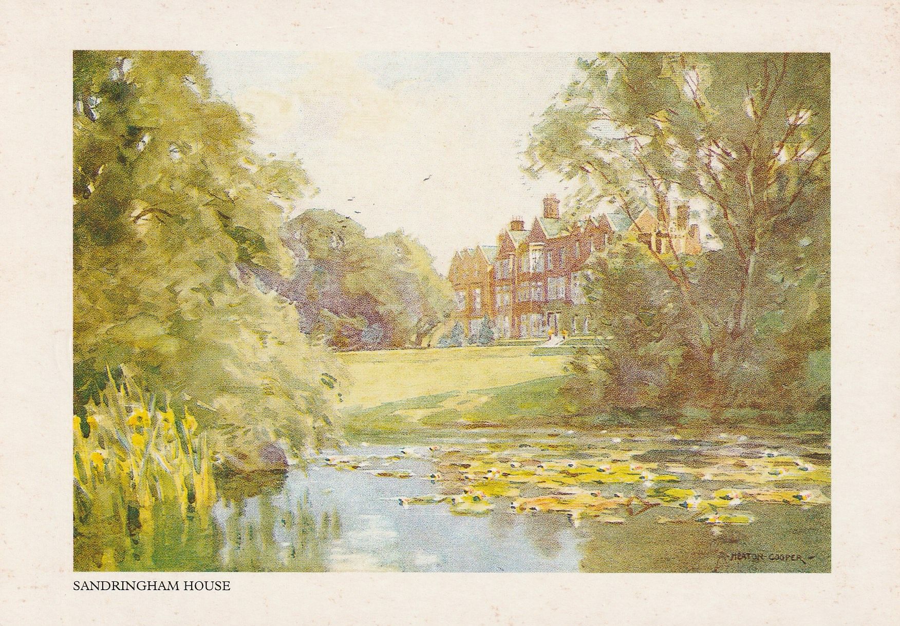 PC_Salmon-Sandringham