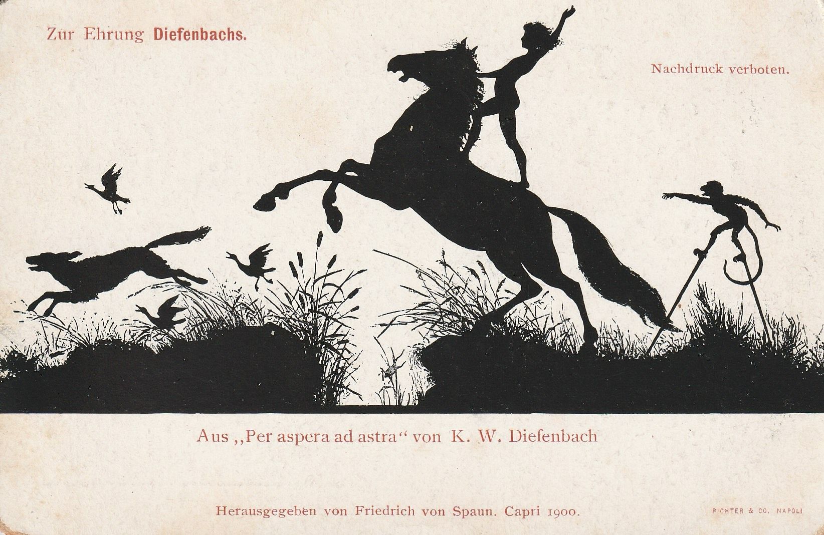 PC_Silhouette-Diefenbach05