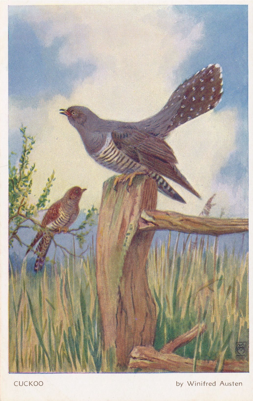 PC_WA-Birds5658